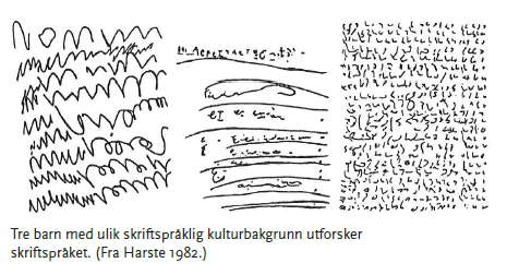 Den første lese- og skriveopplæringa Bygger på kjennskap til elevens språkbiografi Kan eleven lese og skrive?