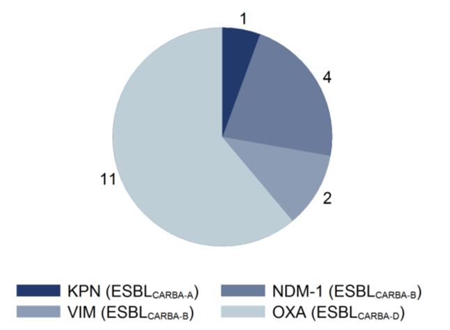Figur 5. Tilfeller av ESBL KARBA meldt til MSIS per måned i 2012 og 2013 Figur 6.