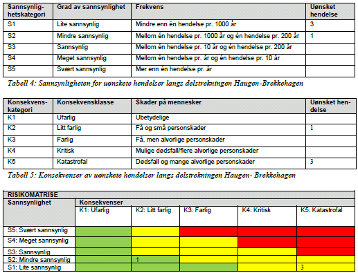 Vurdering COWI AS har registrert og vurdert risikoen for desse skredhendingane: steinsprang, steinskred- og fjellskred, og flaumskred frå Stegagrovi. Snøskred vart vurdert som ingen reell risiko.