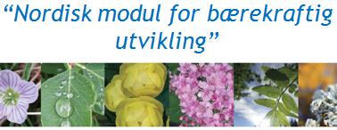 Prosjektperiode og plan 2015: «Nordisk modul for bærekraftig utvikling» 2016 1.1 Søknad. 2017 1.2 Etablering av prosjektgruppen. 1.3 Organisering av prosjektet ved Naturfagsenteret i Norge.