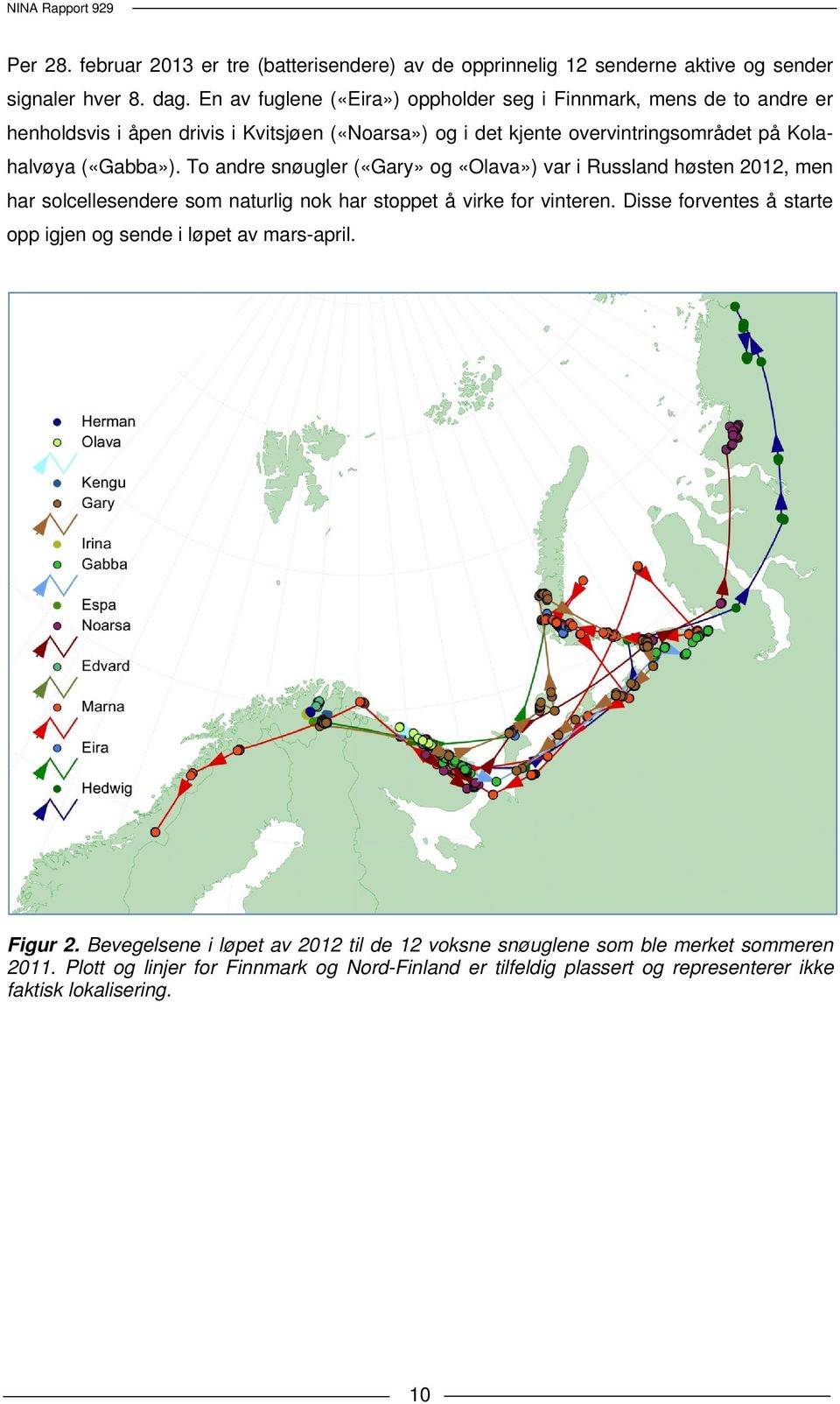 («Gabba»). To andre snøugler («Gary» og «Olava») var i Russland høsten 2012, men har solcellesendere som naturlig nok har stoppet å virke for vinteren.