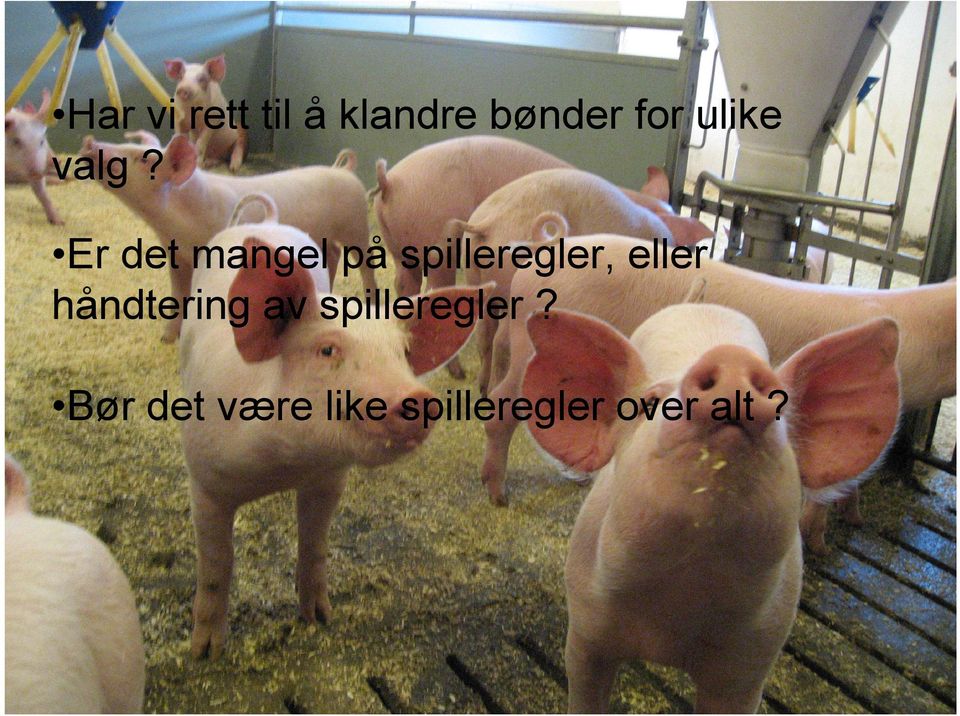 Er det mangel på spilleregler, eller