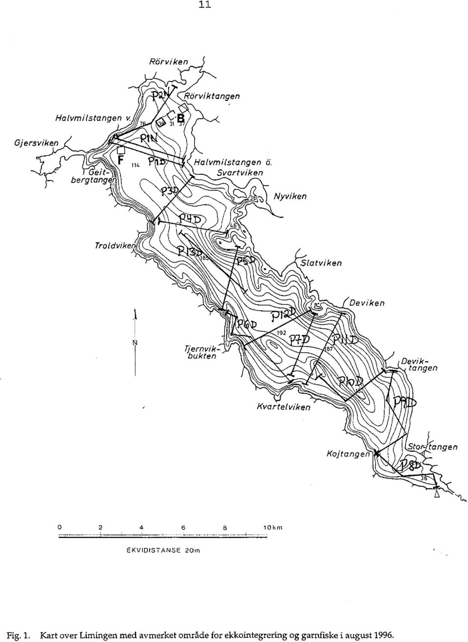 20m Fig. 1.