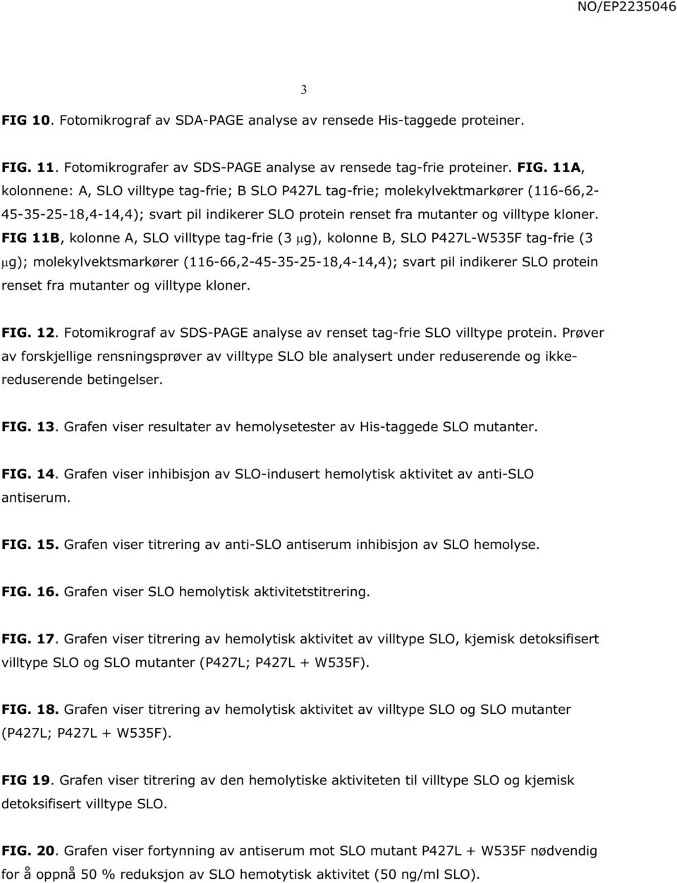 11A, kolonnene: A, SLO villtype tag-frie; B SLO P427L tag-frie; molekylvektmarkører (116-66,2-45-35-25-18,4-14,4); svart pil indikerer SLO protein renset fra mutanter og villtype kloner.