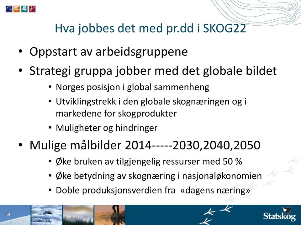 global sammenheng Utviklingstrekk i den globale skognæringen og i markedene for skogprodukter Muligheter