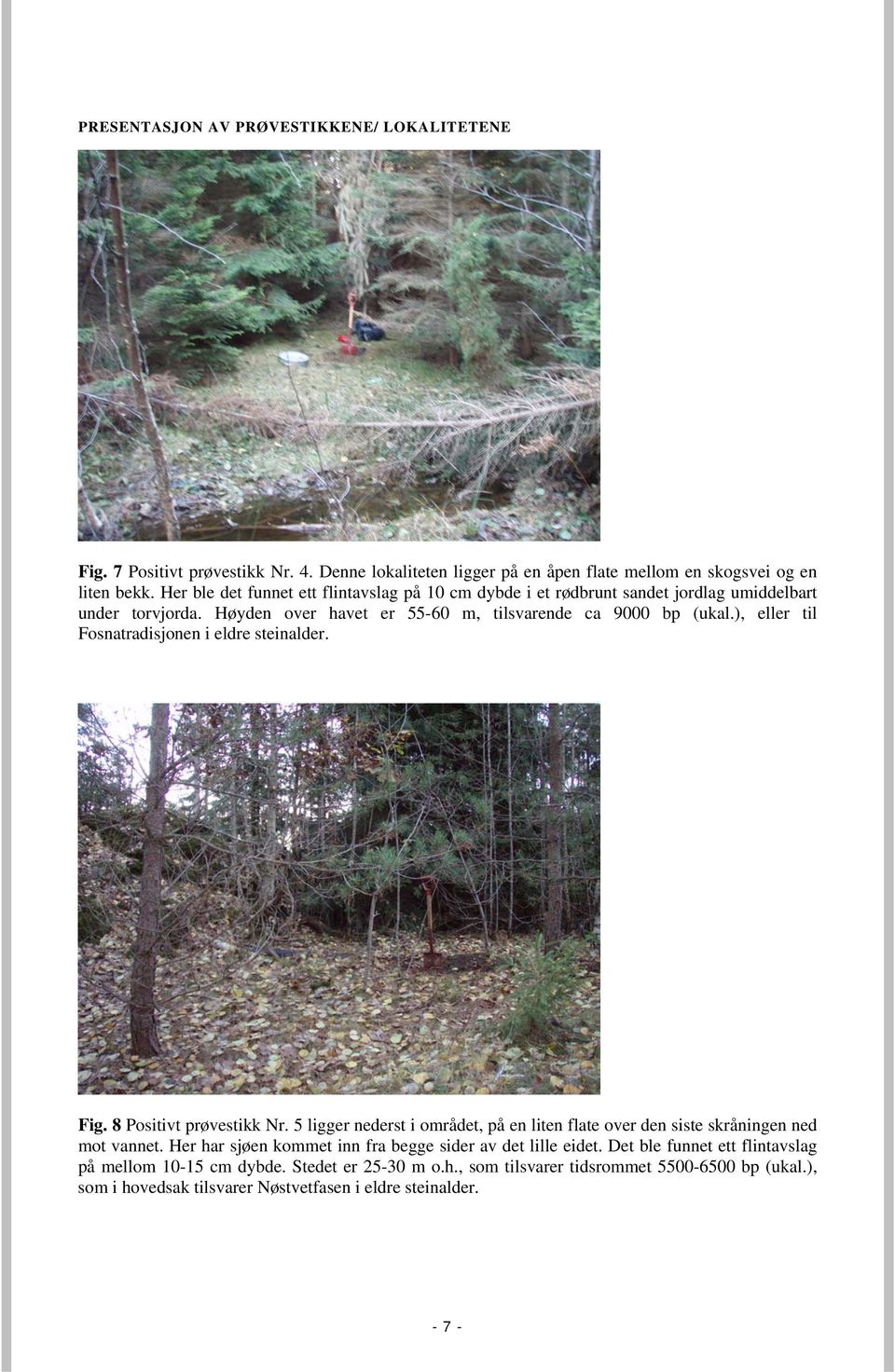 ), eller til Fosnatradisjonen i eldre steinalder. Fig. 8 Positivt prøvestikk Nr. 5 ligger nederst i området, på en liten flate over den siste skråningen ned mot vannet.