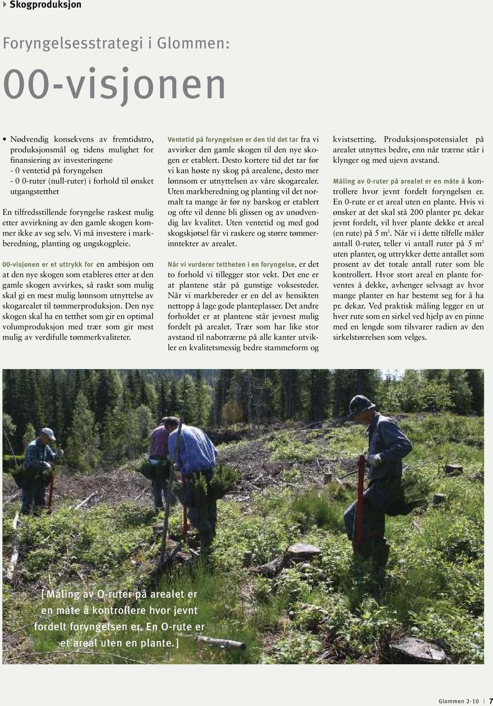 00-visjonen er et uttrykk for en ambisjon om at den nye skogen som etableres etter at den gamle skogen avvirkes, så raskt som mulig skal gi en mest mulig lønnsom utnyttelse av skogarealet til