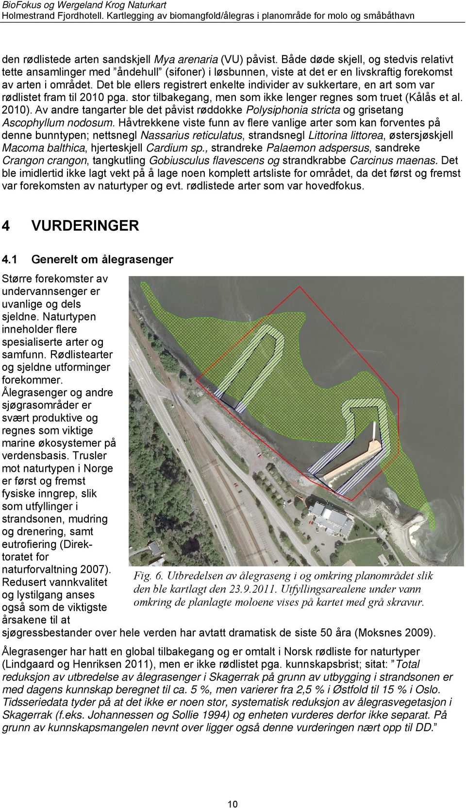 Det ble ellers registrert enkelte individer av sukkertare, en art som var rødlistet fram til 2010 pga. stor tilbakegang, men som ikke lenger regnes som truet (Kålås et al. 2010).