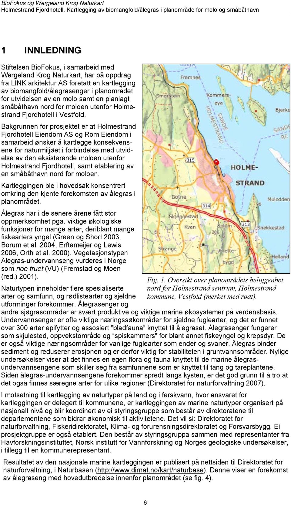 Bakgrunnen for prosjektet er at Holmestrand Fjordhotell Eiendom AS og Rom Eiendom i samarbeid ønsker å kartlegge konsekvensene for naturmiljøet i forbindelse med utvidelse av den eksisterende moloen