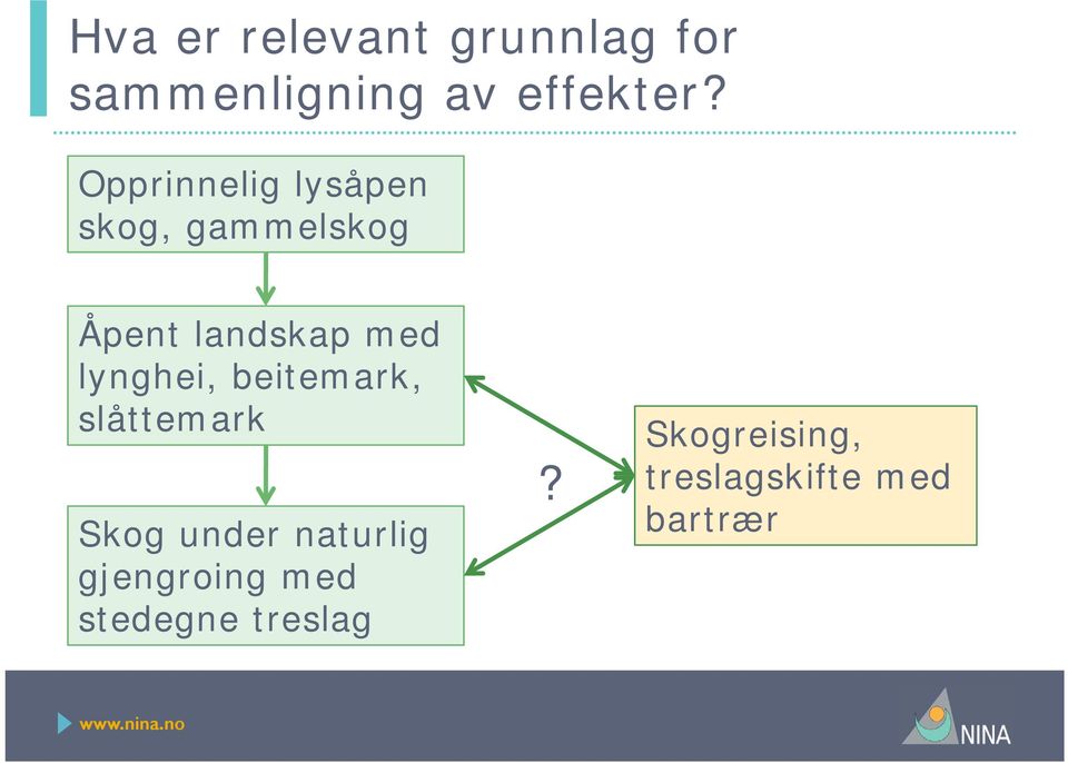 lynghei, beitemark, slåttemark Skog under naturlig