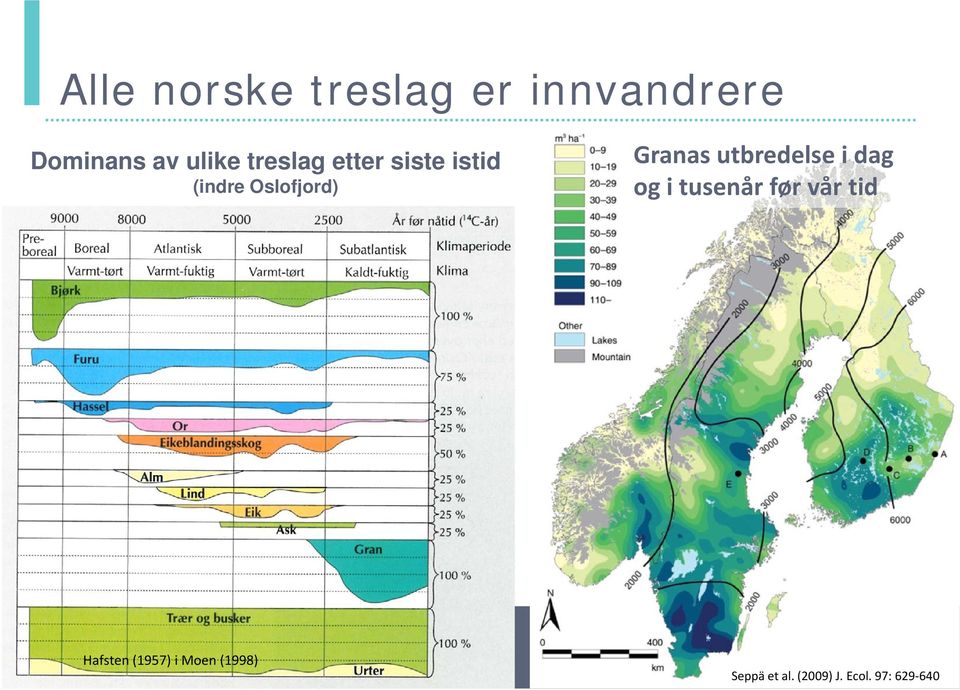 utbredelse i dag og i tusenår før vår tid Hafsten