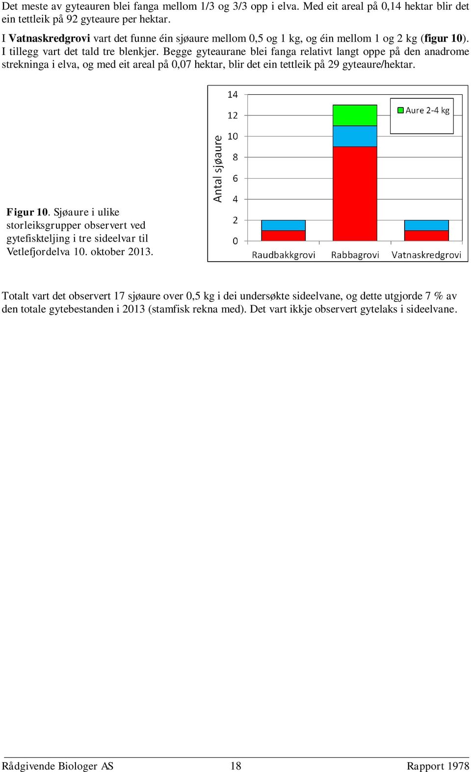 Begge gyteaurane blei fanga relativt langt oppe på den anadrome strekninga i elva, og med eit areal på 0,07 hektar, blir det ein tettleik på 29 gyteaure/hektar. Figur 10.