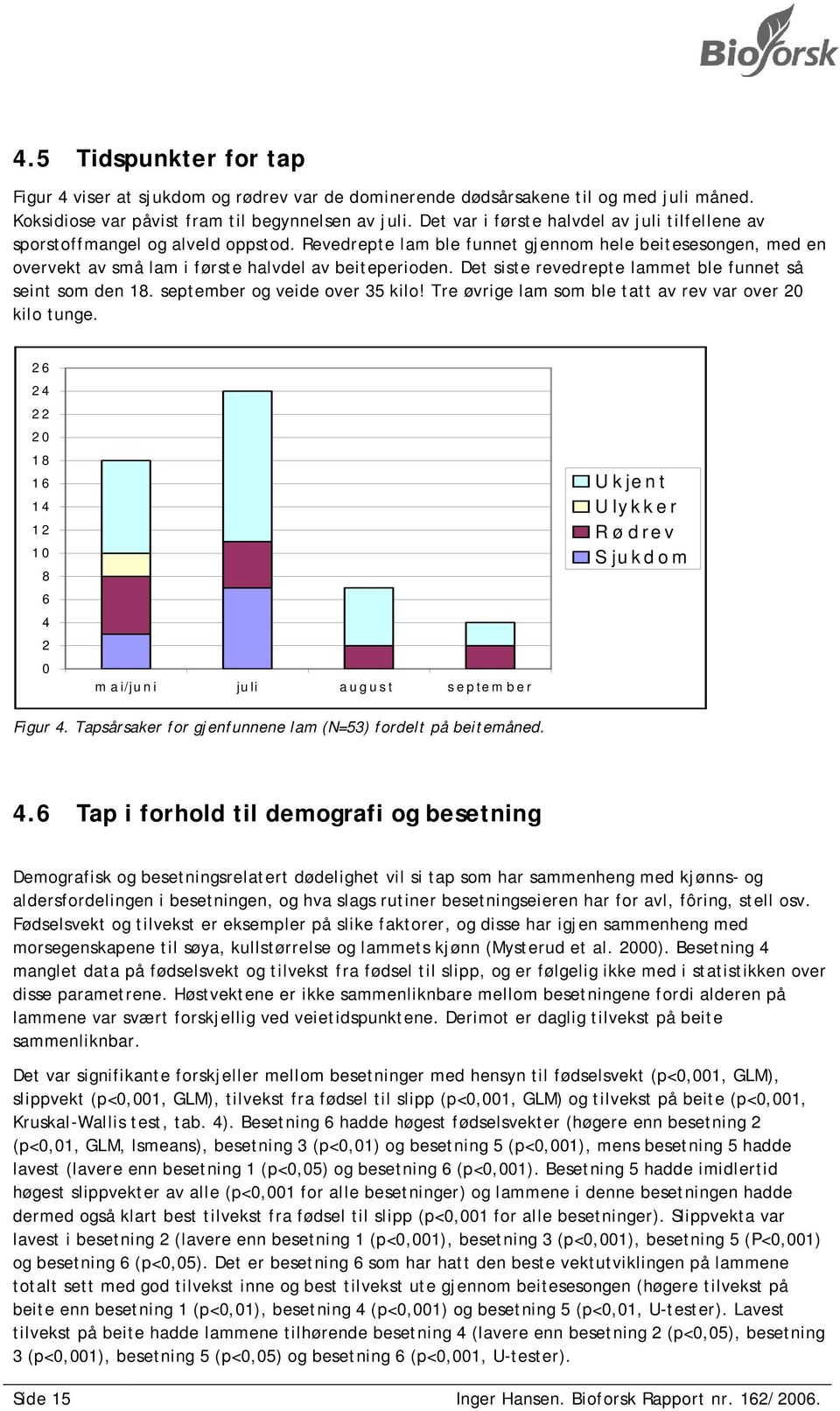 Det siste revedrepte lammet ble funnet så seint som den 18. september og veide over 35 kilo! Tre øvrige lam som ble tatt av rev var over 20 kilo tunge.