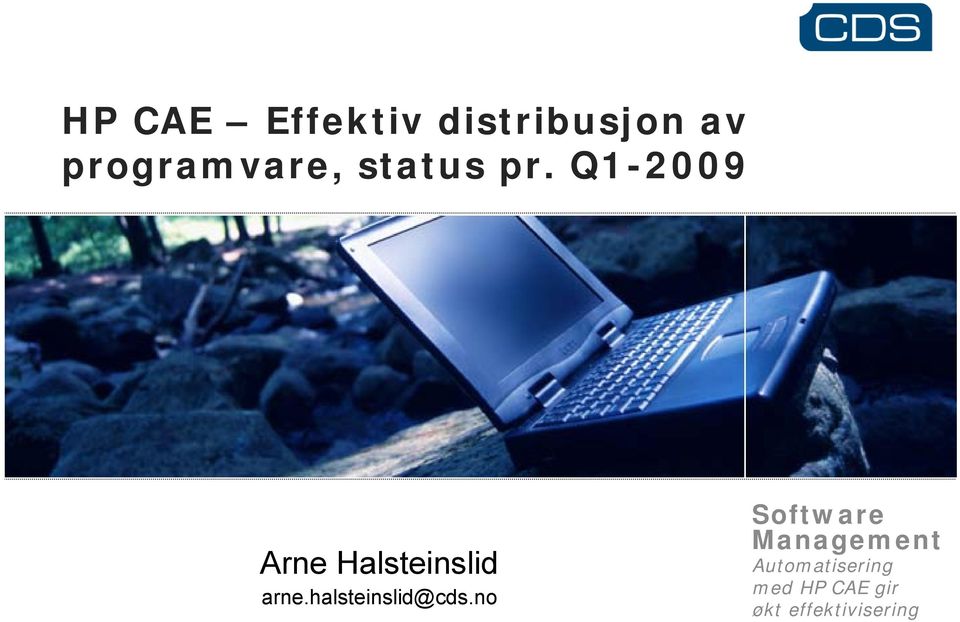 Q1-2009 Arne Halsteinslid arne.