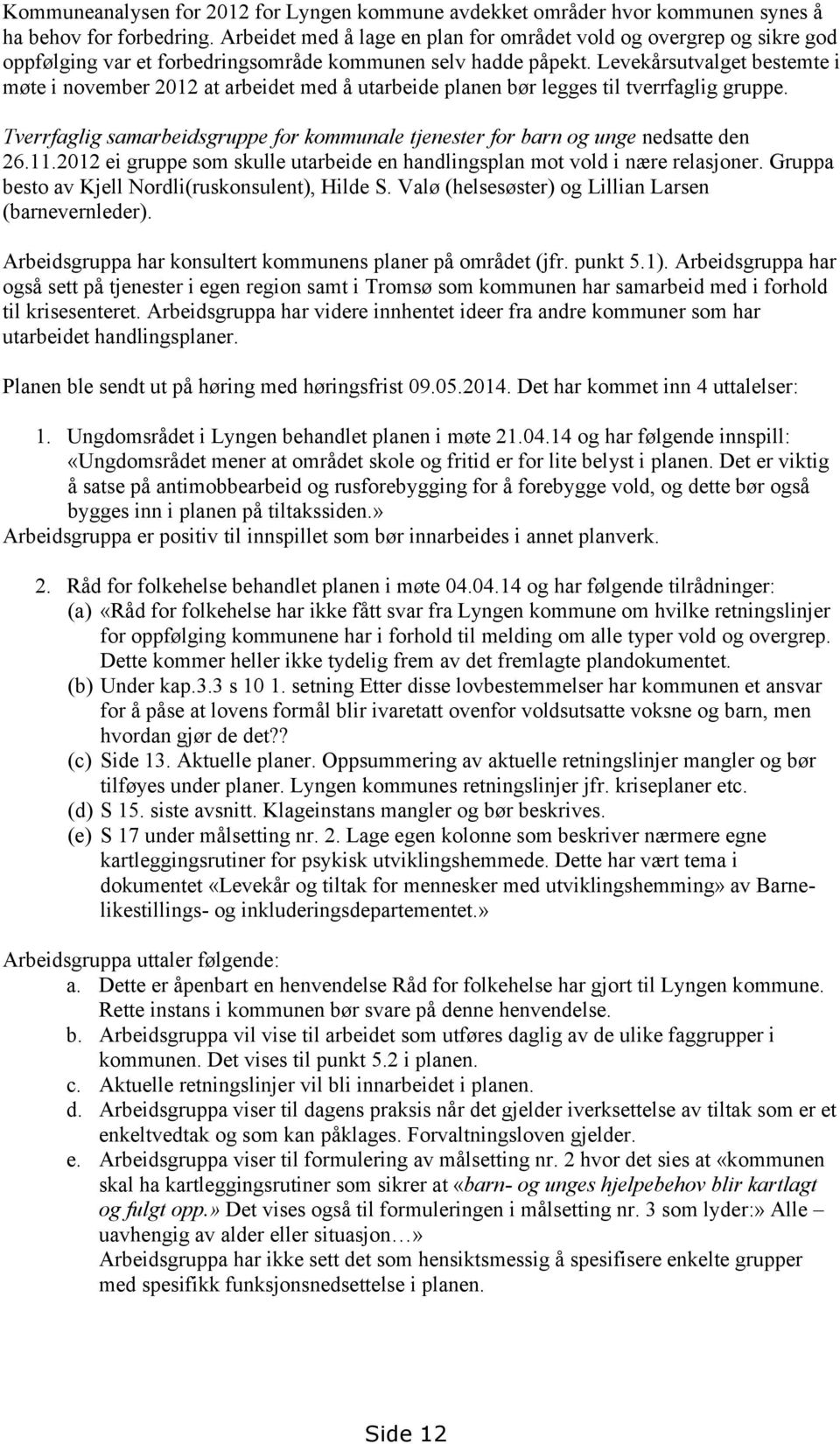 Levekårsutvalget bestemte i møte i november 2012 at arbeidet med å utarbeide planen bør legges til tverrfaglig gruppe.