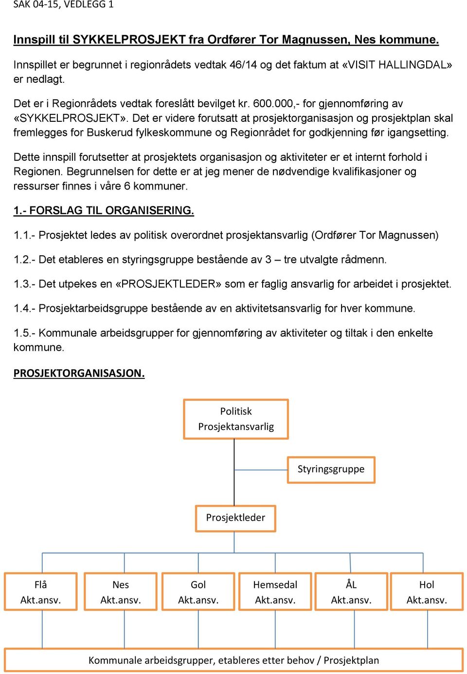 Det er videre forutsatt at prosjektorganisasjon og prosjektplan skal fremlegges for Buskerud fylkeskommune og Regionrådet for godkjenning før igangsetting.