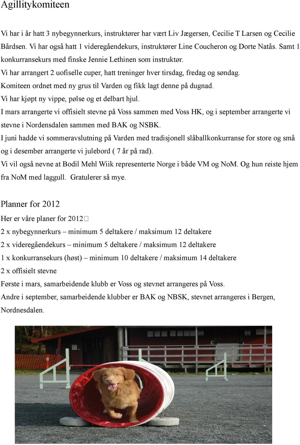 Vi har arrangert 2 uofiselle cuper, hatt treninger hver tirsdag, fredag og søndag. Komiteen ordnet med ny grus til Varden og fikk lagt denne på dugnad. Vi har kjøpt ny vippe, pølse og et delbart hjul.