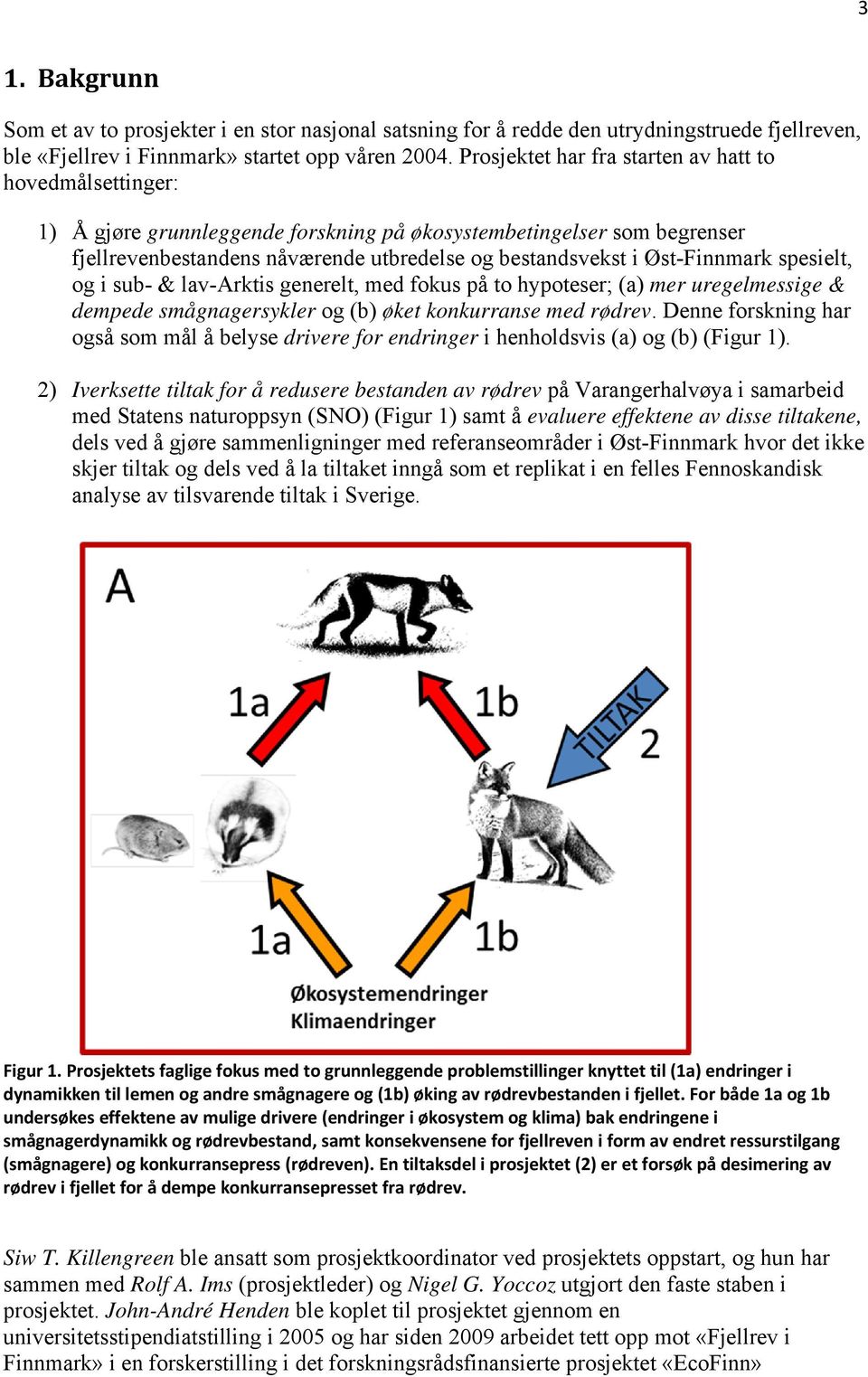 Øst-Finnmark spesielt, og i sub- & lav-arktis generelt, med fokus på to hypoteser; (a) mer uregelmessige & dempede smågnagersykler og (b) øket konkurranse med rødrev.