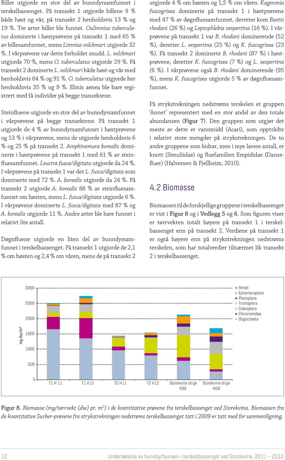 tuberculatus utgjorde 29 %. På transekt 2 dominerte L. volckmari både høst og vår med henholdsvis 64 % og 91 %. O. tuberculatus utgjorde her henholdsvis 35 % og 9 %.