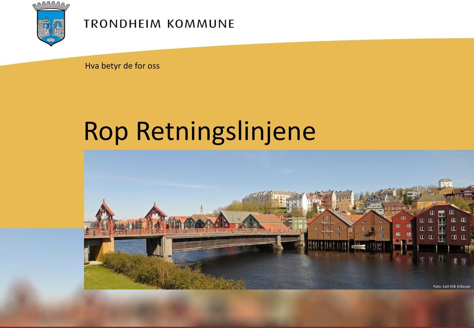 Retningslinjene