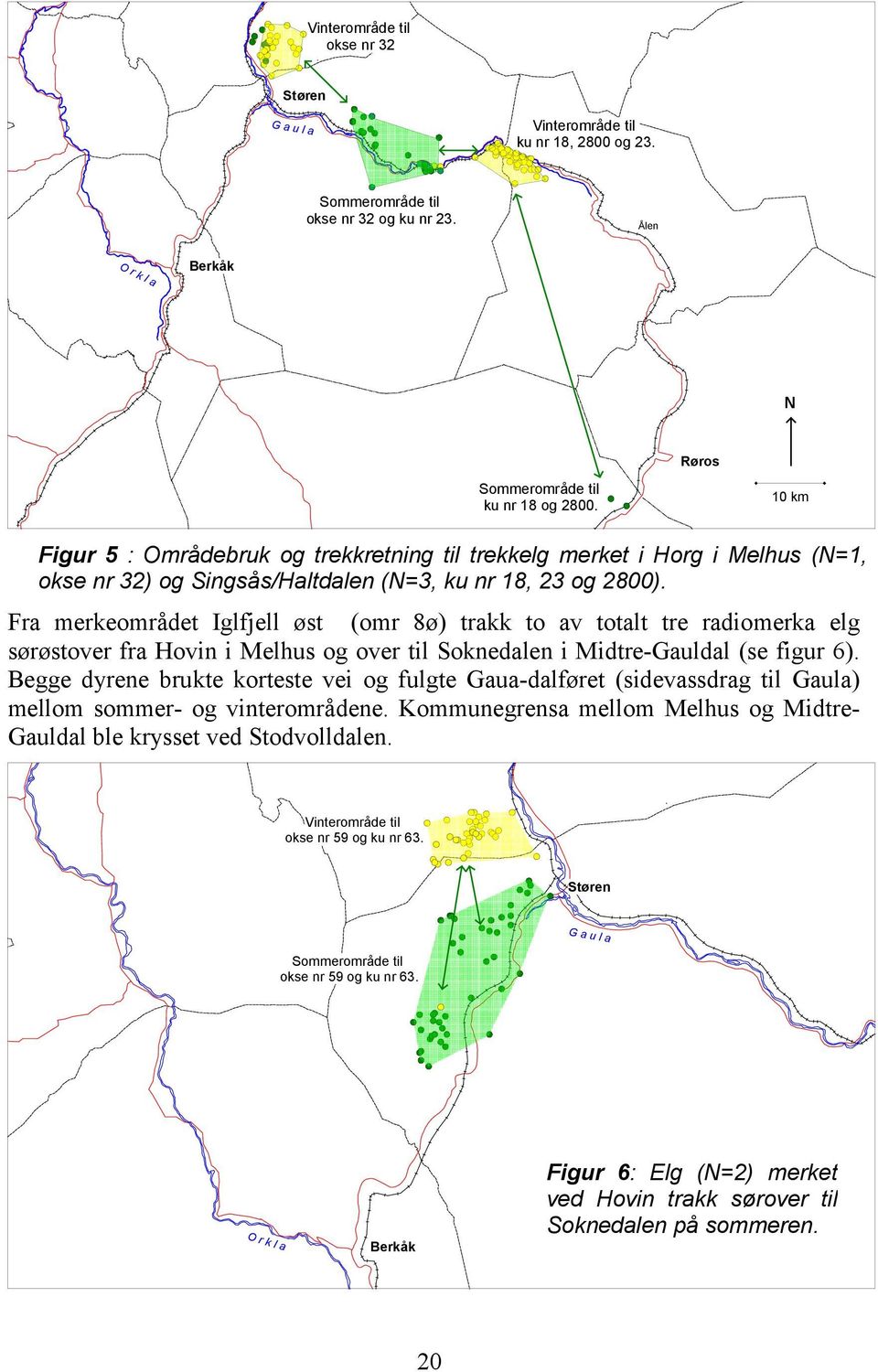 Fra merkeområdet Iglfjell øst (omr 8ø) trakk to av totalt tre radiomerka elg sørøstover fra Hovin i Melhus og over til Soknedalen i Midtre-Gauldal (se figur 6).