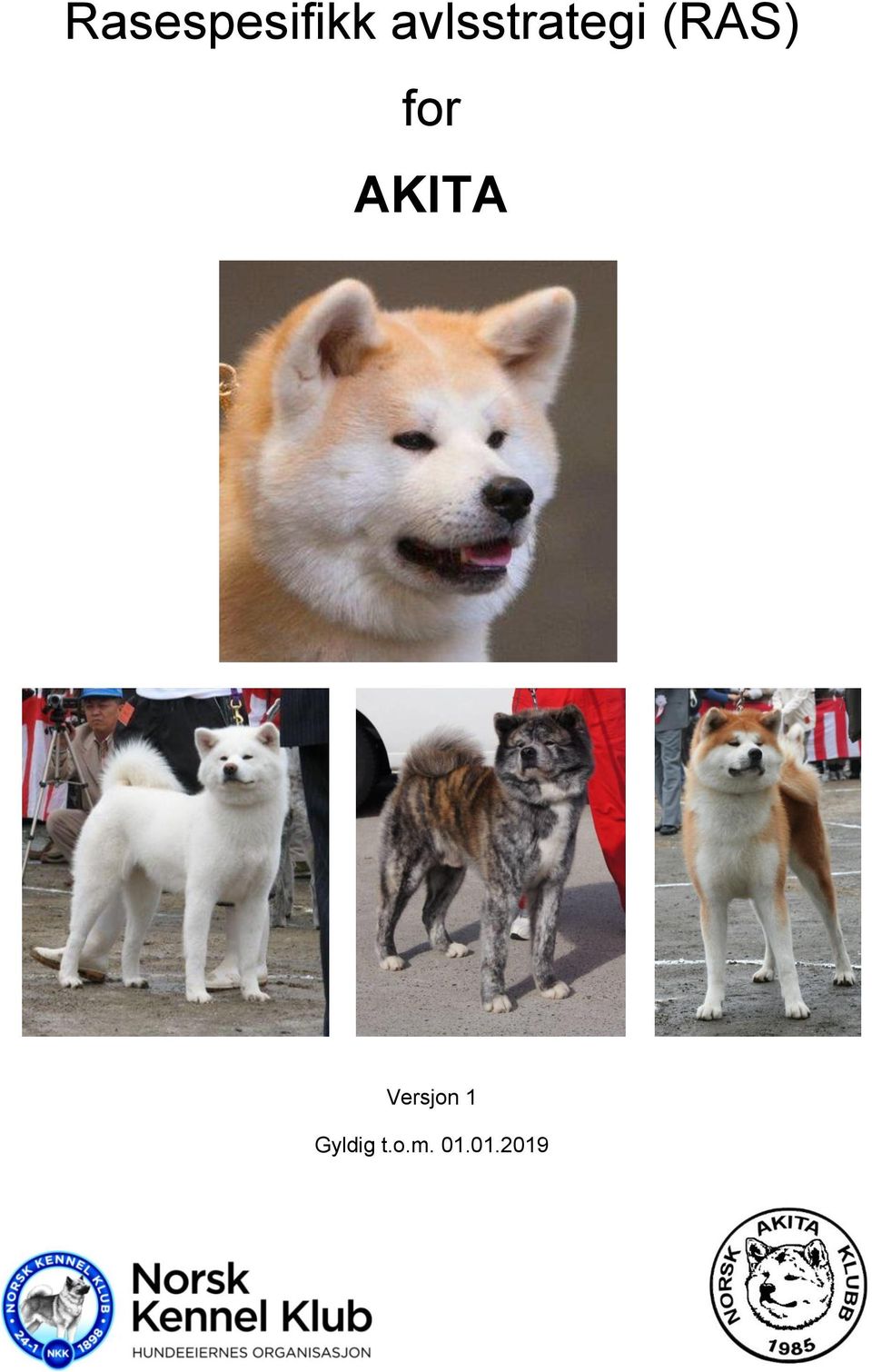 for AKITA Versjon 1