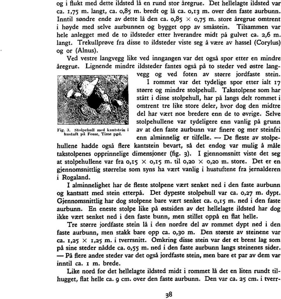 Trekullprøve fra disse to ildsteder viste seg å være av hassel (Corylus) og or (Alnus). Ved vestre langvegg like ved inngangen var det også spor etter en mindre åregrue.