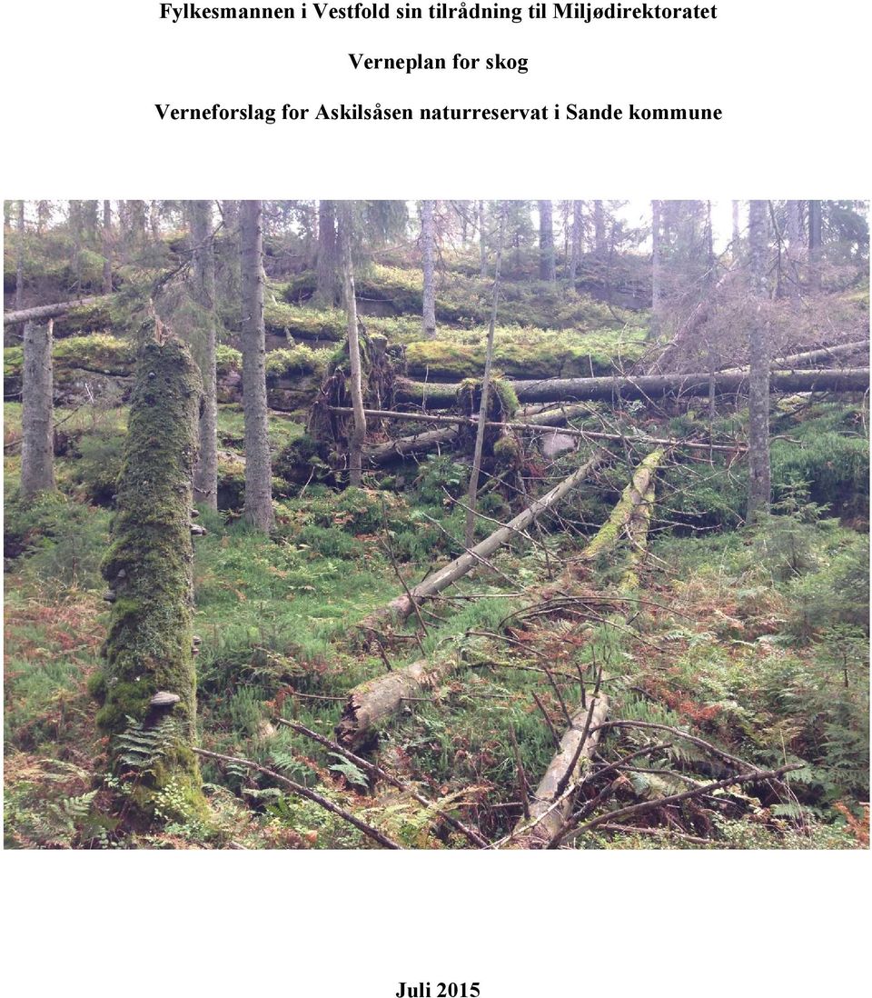 Verneplan for skog Verneforslag for