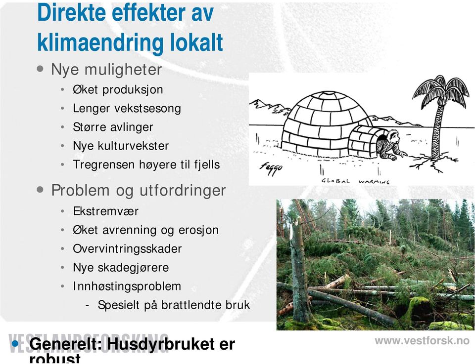 Problem og utfordringer Ekstremvær Øket avrenning og erosjon Overvintringsskader