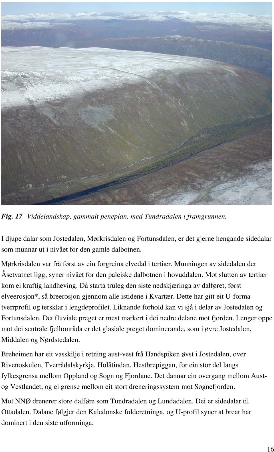 Mørkrisdalen var frå først av ein forgreina elvedal i tertiær. Munningen av sidedalen der Åsetvatnet ligg, syner nivået for den paleiske dalbotnen i hovuddalen.