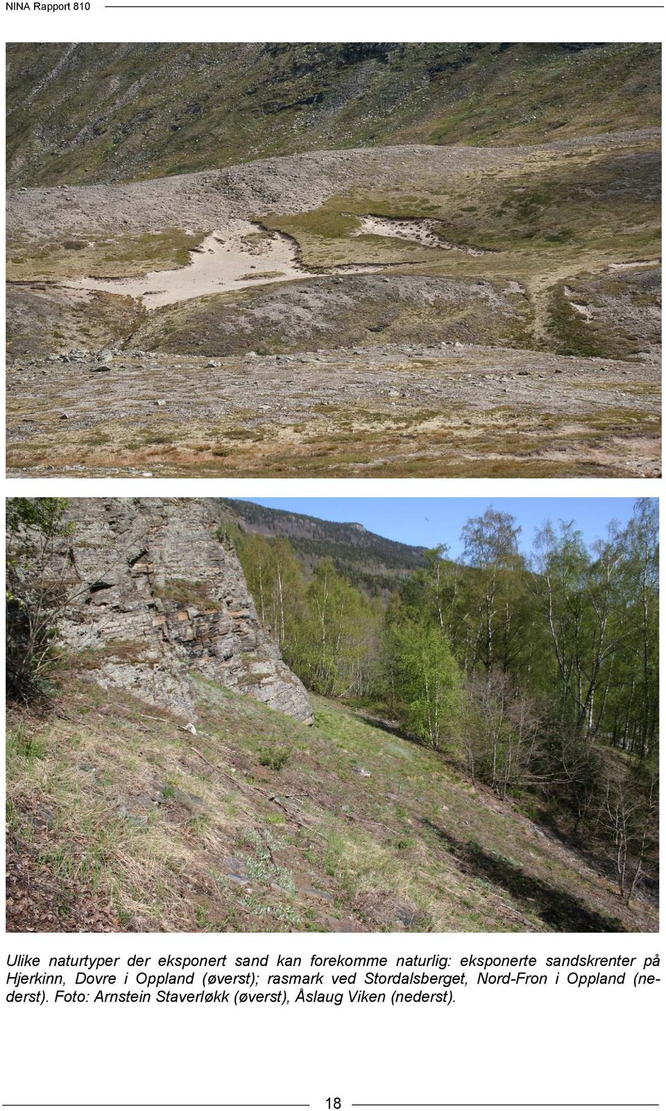 (øverst); rasmark ved Stordalsberget, Nord-Fron i Oppland