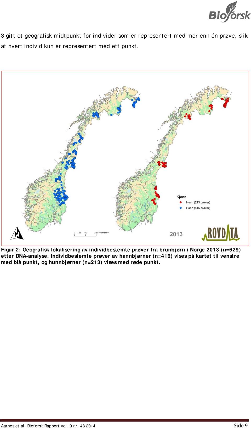 Figur 2: Geografisk lokalisering av individbestemte prøver fra brunbjørn i Norge 2013 (n=629) etter DNA-analyse.