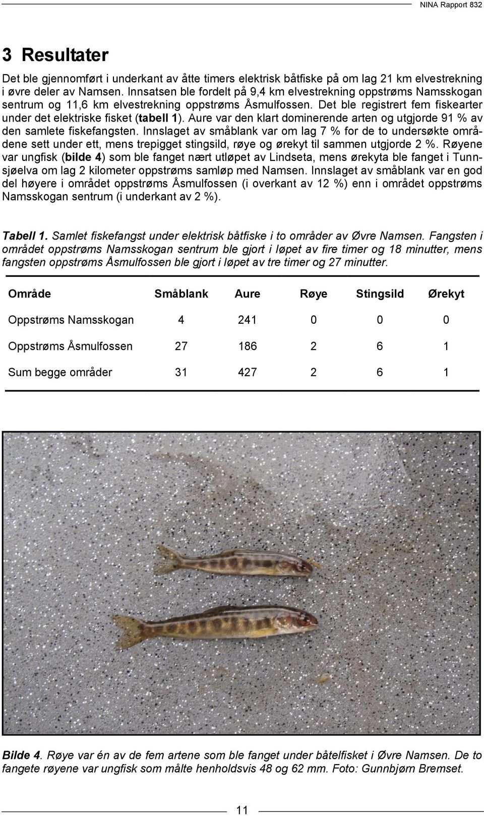 Aure var den klart dominerende arten og utgjorde 91 % av den samlete fiskefangsten.