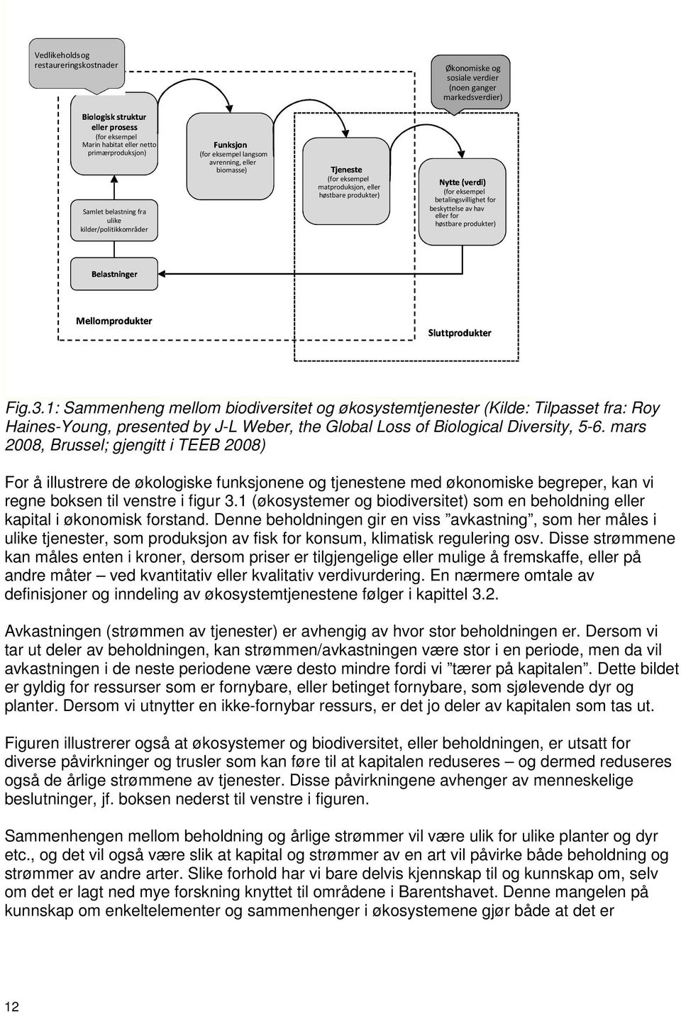 ganger markedsverdier) Sluttprodukter (for eksempel betalingsvillighet for beskyttelse av hav eller for høstbare produkter) Fig.3.