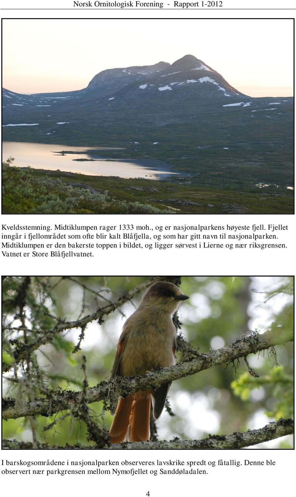 Midtiklumpen er den bakerste toppen i bildet, og ligger sørvest i Lierne og nær riksgrensen.