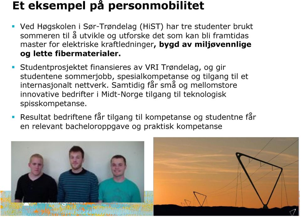 Studentprosjektet finansieres av VRI Trøndelag, og gir studentene sommerjobb, spesialkompetanse og tilgang til et internasjonalt nettverk.
