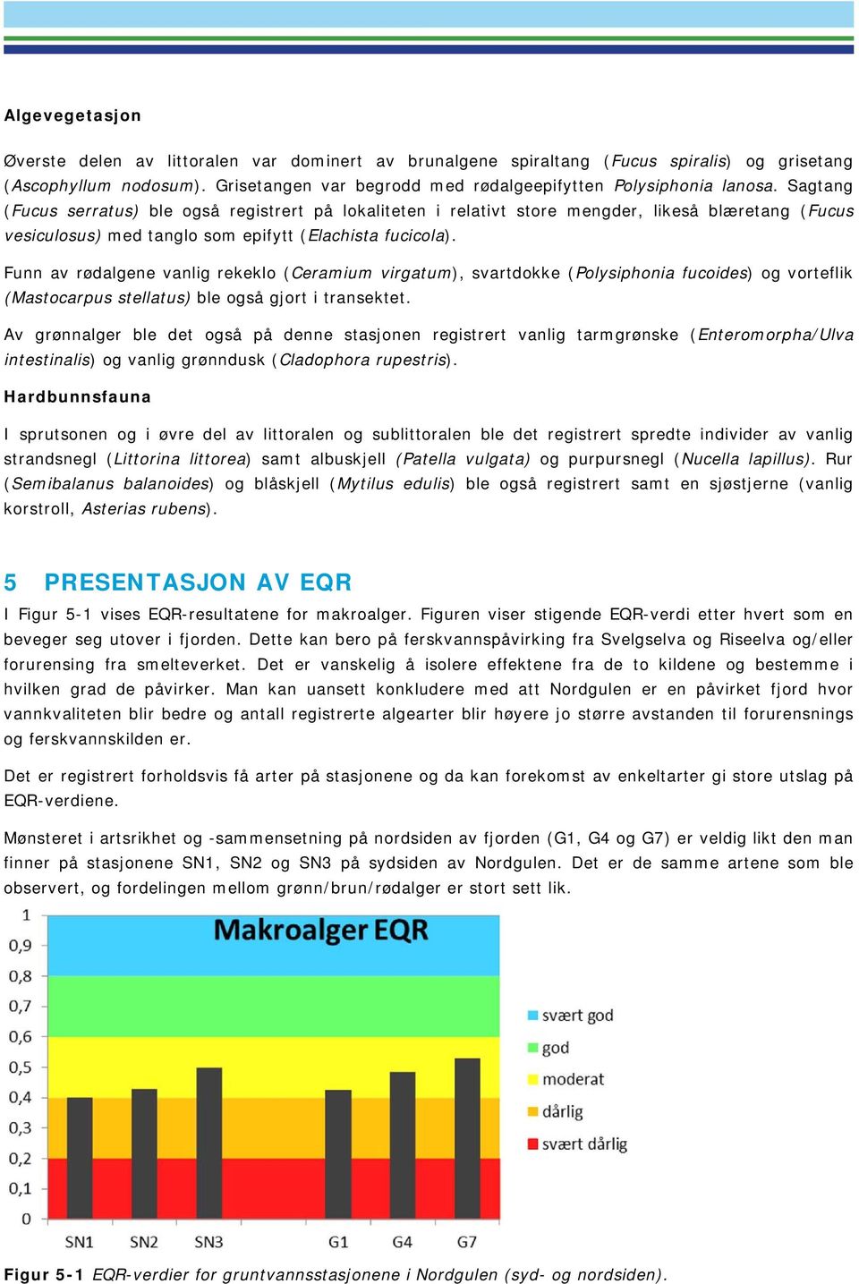 Funn av rødalgene vanlig rekeklo (Ceramium virgatum), svartdokke (Polysiphonia fucoides) og vorteflik (Mastocarpus stellatus) ble også gjort i transektet.