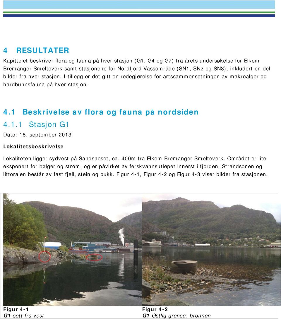 1 Beskrivelse av flora og fauna på nordsiden 4.1.1 Stasjon G1 Dato: 18. september 2013 Lokalitetsbeskrivelse Lokaliteten ligger sydvest på Sandsneset, ca. 400m fra Elkem Bremanger Smelteverk.