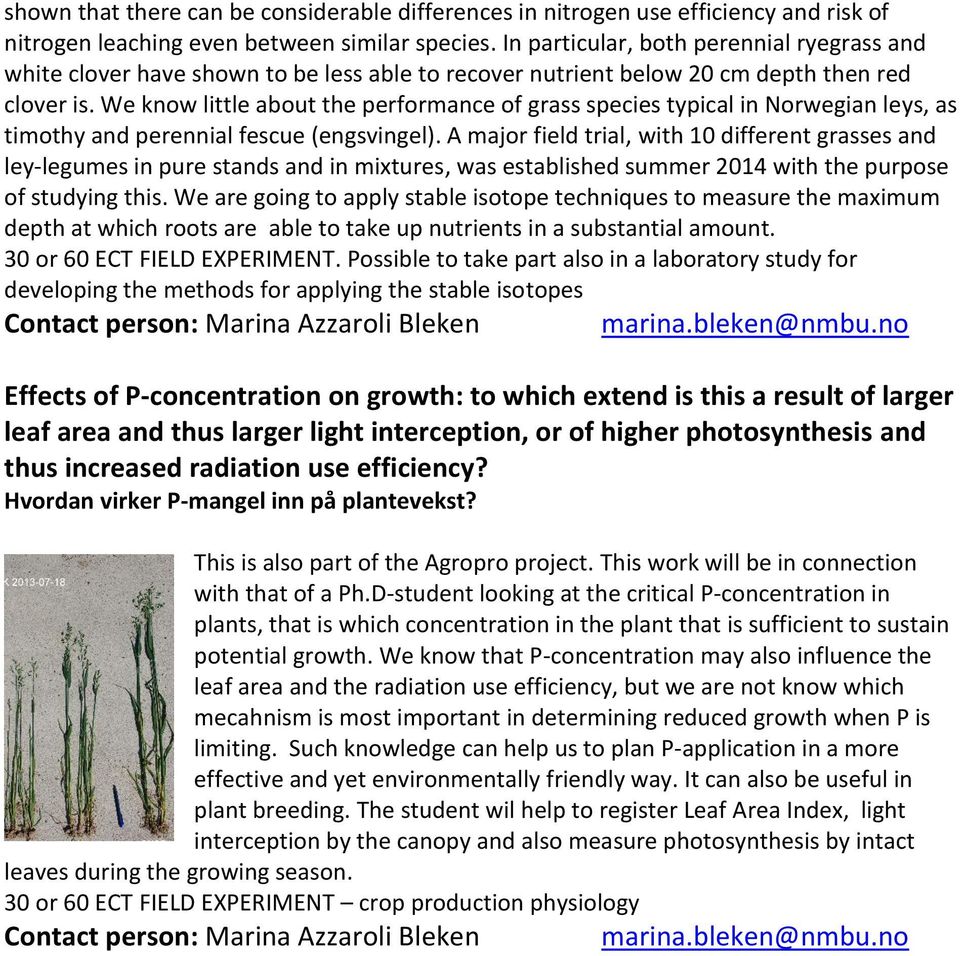 We know little about the performance of grass species typical in Norwegian leys, as timothy and perennial fescue (engsvingel).