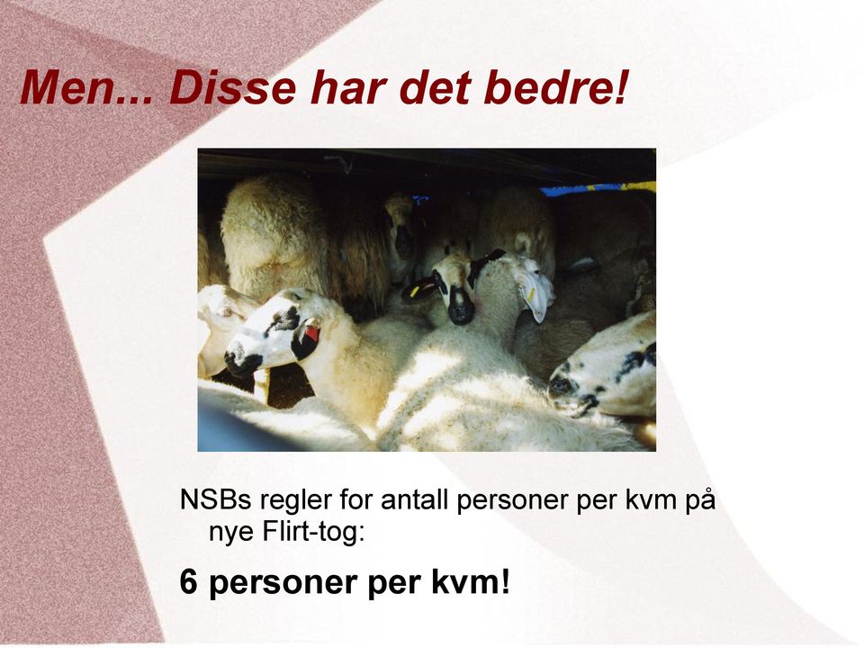 personer per kvm på nye