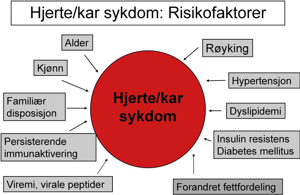 Hjerte/kar sykdom Hypertensjon Dyslipidemi Insulin