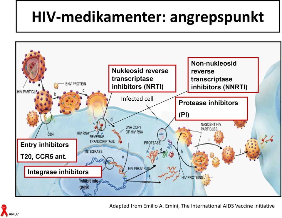 Protease inhibitors (PI) Entry inhibitors T20, CCR5 ant.