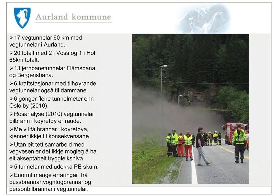 Rosanalyse (2010) vegtunnelar bilbrann i køyretøy er raude.