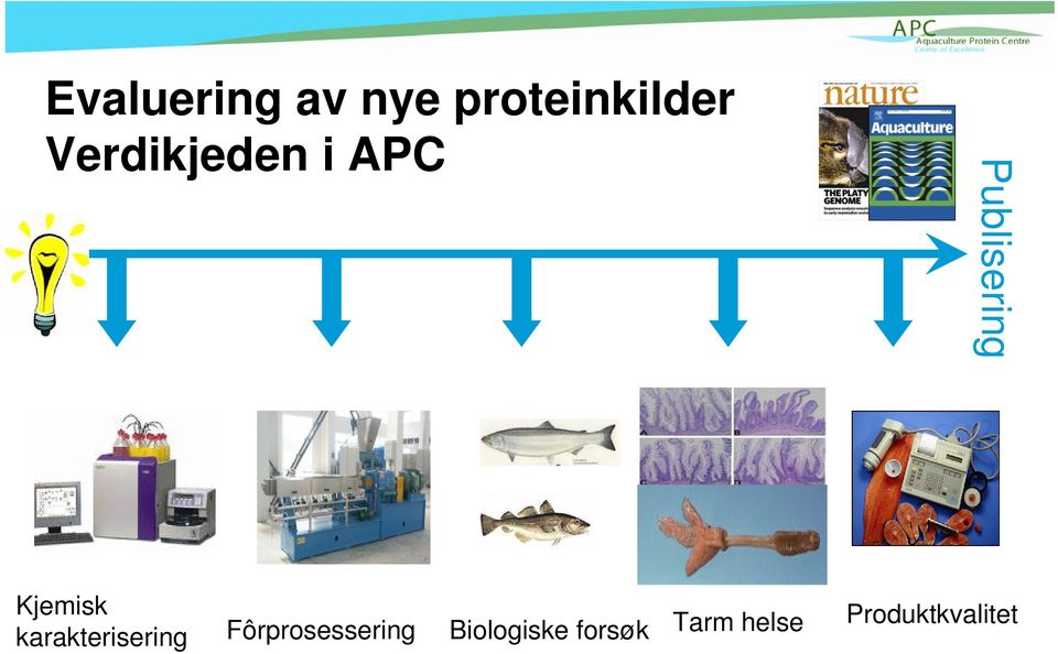 Kjemisk karakterisering