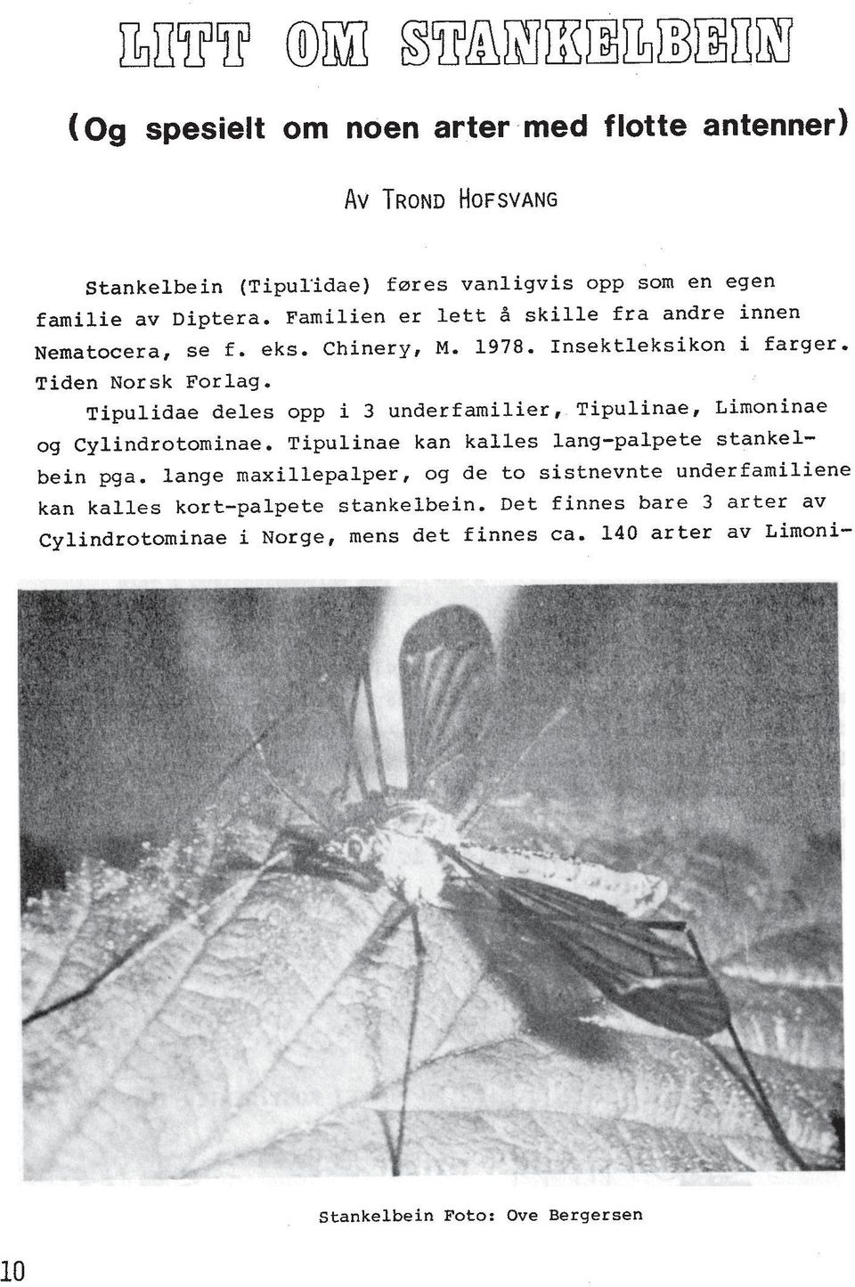 Tipulidae deles opp i 3 underfamilier, Tipulinae, Limoninae og Cylindrotominae. Tipulinae kan kalles lang-palpete stankelbein pga.