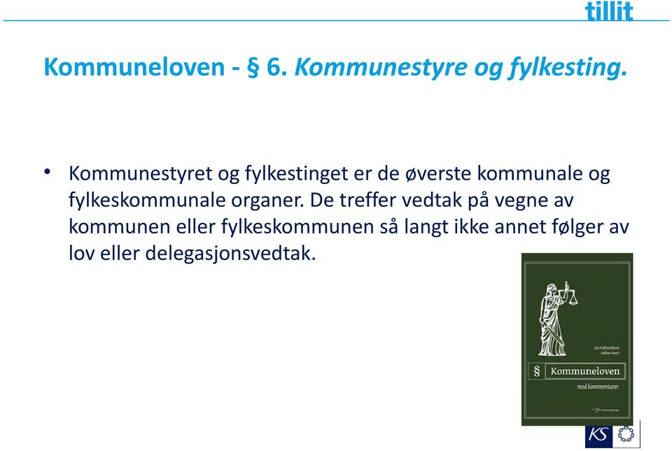 fylkeskommunale organer.