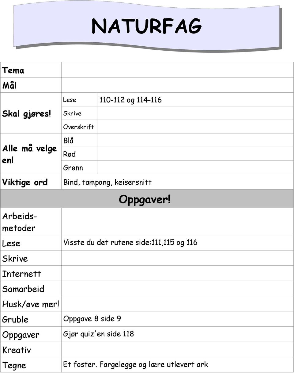 Lese Visste du det rutene side:111,115 og 116 Internett Samarbeid Husk/øve mer!