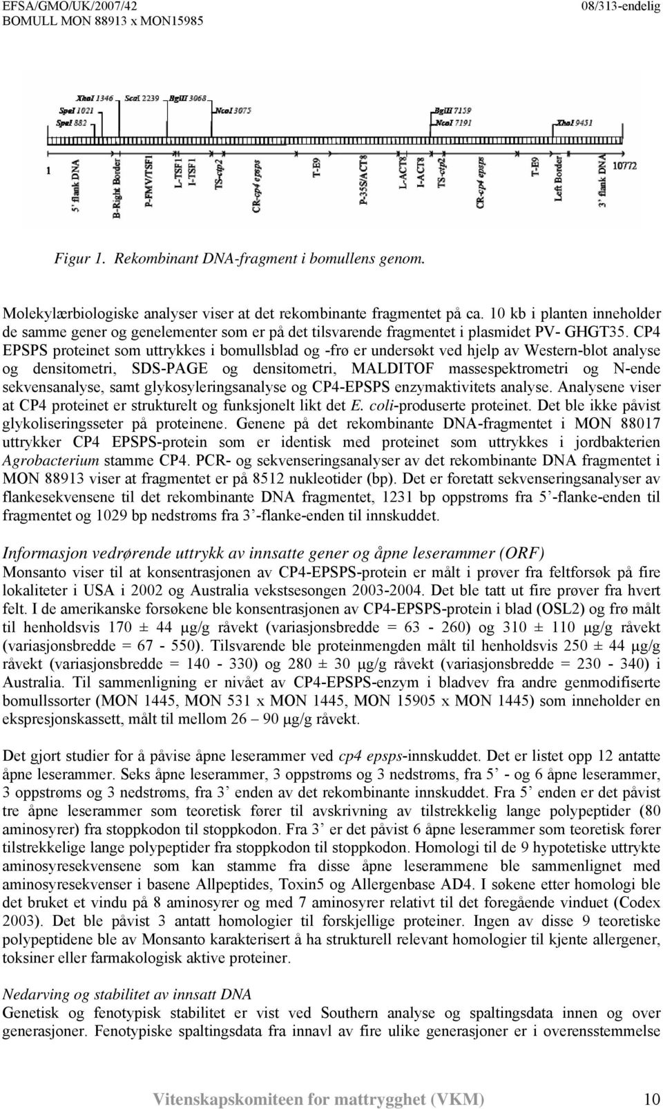 CP4 EPSPS proteinet som uttrykkes i bomullsblad og -frø er undersøkt ved hjelp av Western-blot analyse og densitometri, SDS-PAGE og densitometri, MALDITOF massespektrometri og N-ende sekvensanalyse,