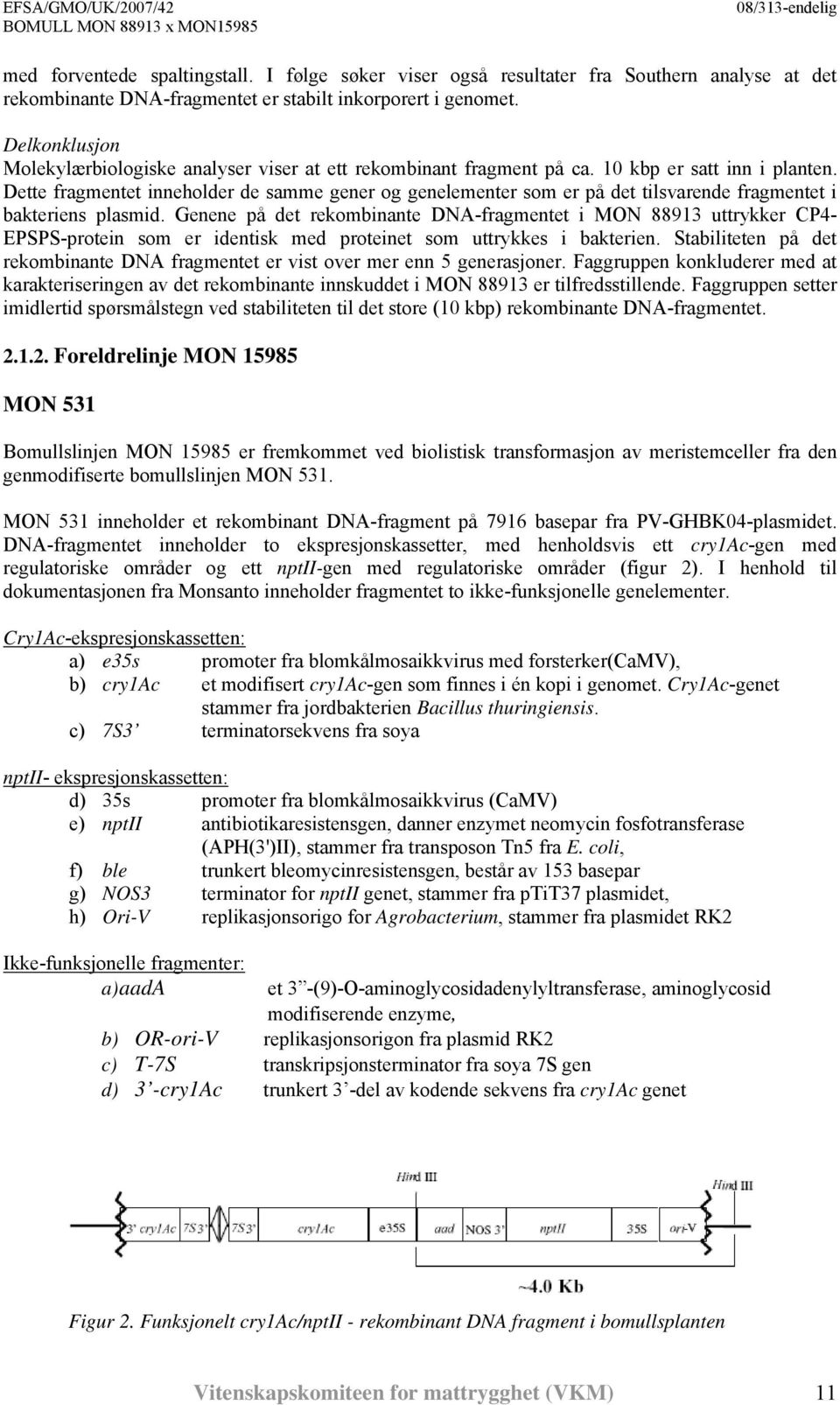 Dette fragmentet inneholder de samme gener og genelementer som er på det tilsvarende fragmentet i bakteriens plasmid.