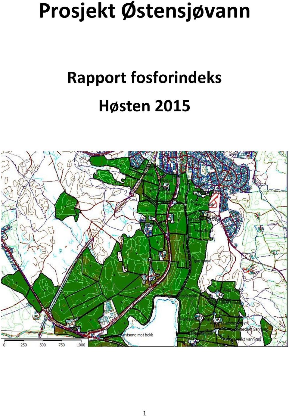 Rapport